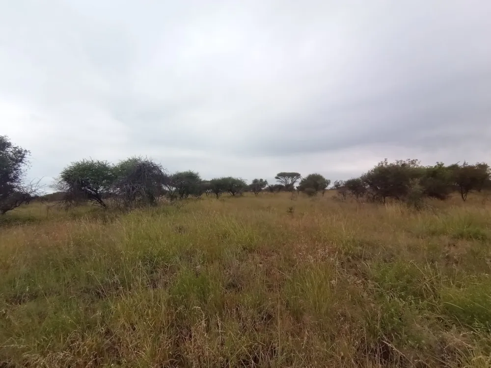 Vacant land for sale in Bendor - 1PS1609110