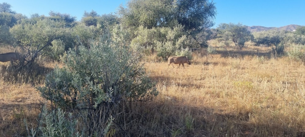 Vacant land for sale in Finkenstein Estate, Namibia - 3NM1610308