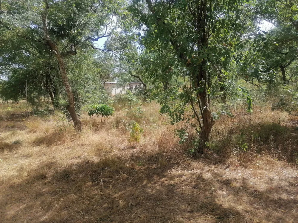Vacant land for sale in Shimabala, Lusaka Province, Zambia - 3ZA1610381 Vacant land for sale in Shimabala, Lusaka Province, Zambia - 3ZA1610381