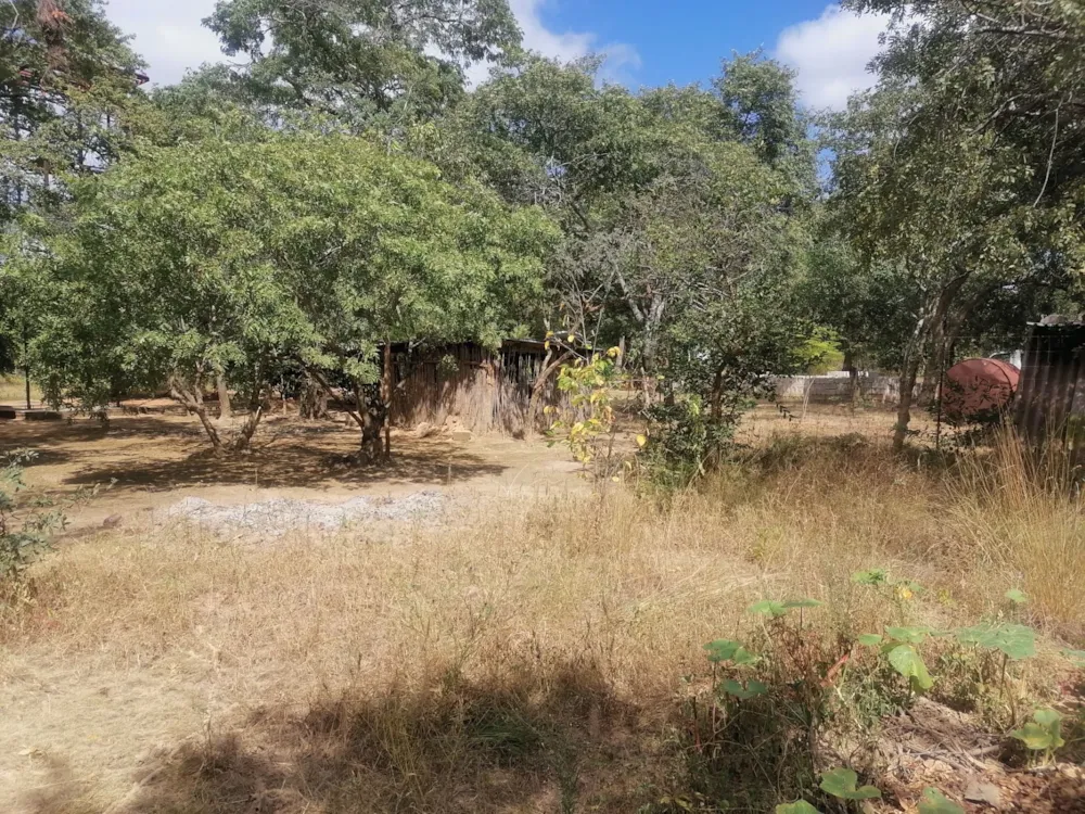 Vacant land for sale in Shimabala, Lusaka Province, Zambia - 3ZA1610381 Vacant land for sale in Shimabala, Lusaka Province, Zambia - 3ZA1610381