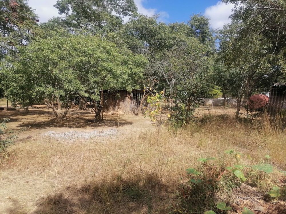 Vacant land for sale in Shimabala, Lusaka Province, Zambia - 3ZA1610381 Vacant land for sale in Shimabala, Lusaka Province, Zambia - 3ZA1610381