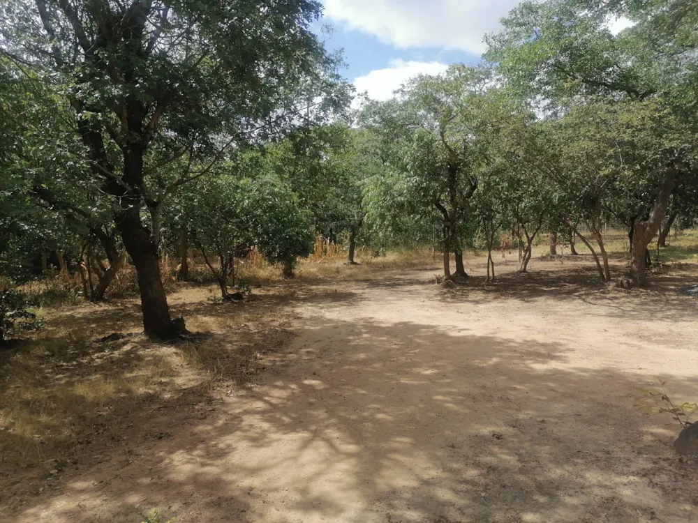 Vacant land for sale in Shimabala, Lusaka Province, Zambia - 3ZA1610381 Vacant land for sale in Shimabala, Lusaka Province, Zambia - 3ZA1610381