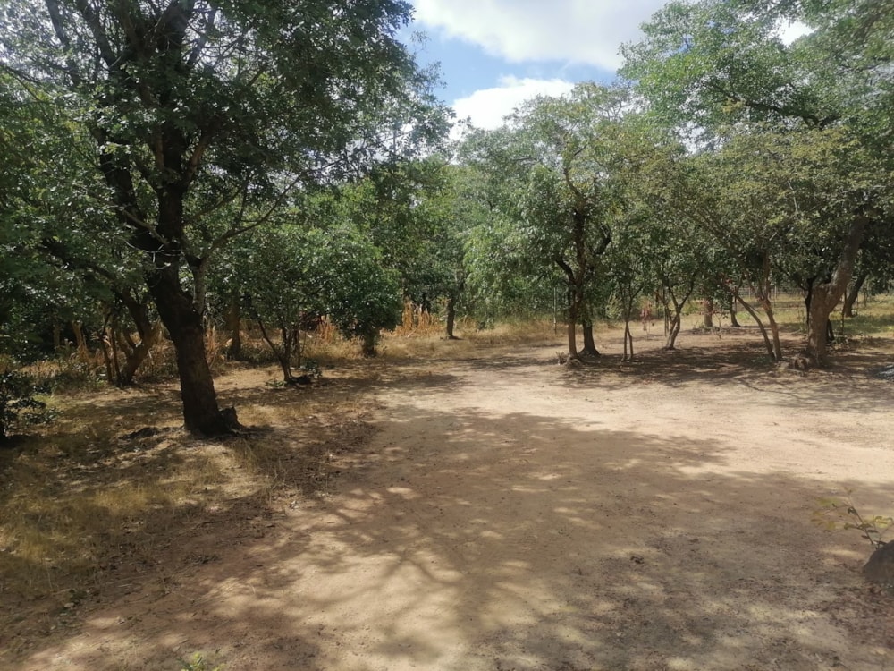 Vacant land for sale in Shimabala, Lusaka Province, Zambia - 3ZA1610381 Vacant land for sale in Shimabala, Lusaka Province, Zambia - 3ZA1610381