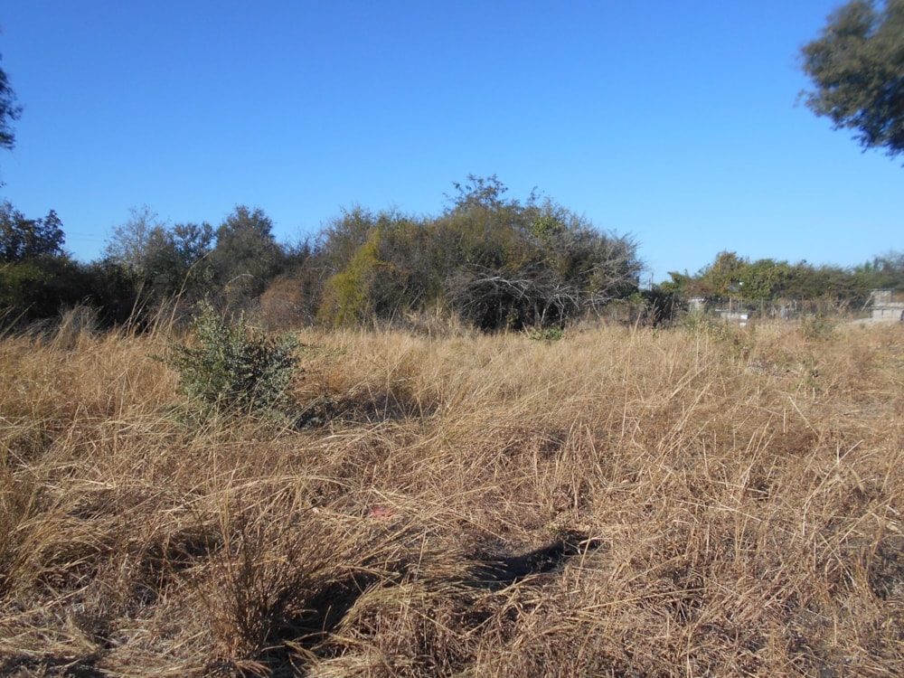 Commercial vacant land for sale in Kazungula, Zambia - 3ZA1610823