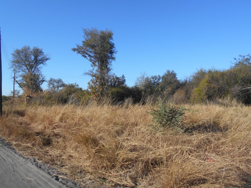 Commercial vacant land for sale in Kazungula, Zambia - 3ZA1610823