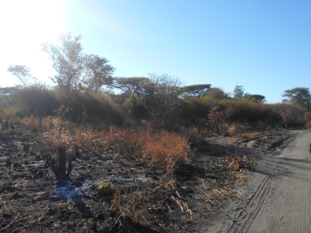 Commercial vacant land for sale in Kazungula, Zambia - 3ZA1610823