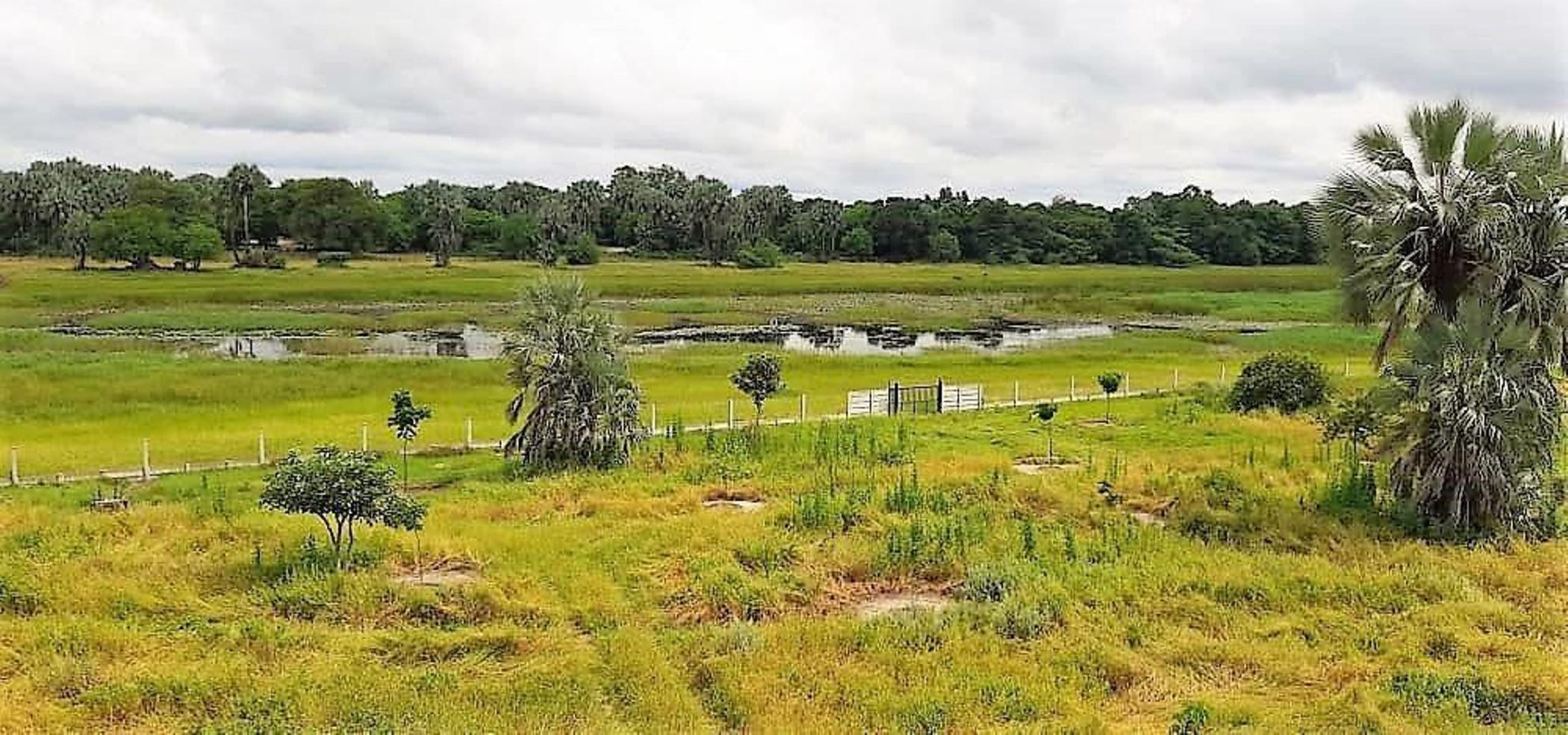 Vacant land for sale in Maun, Botswana - 3BO1610625