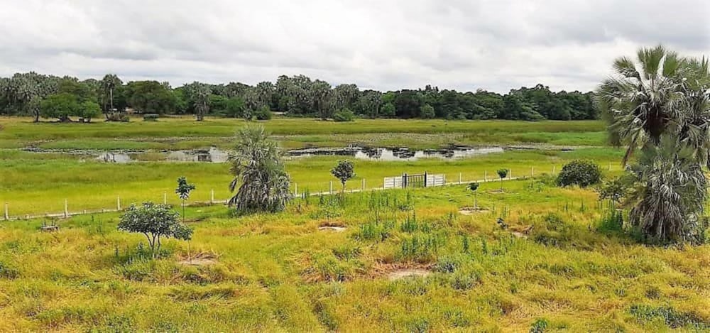 Vacant land for sale in Maun, Botswana - 3BO1610625 Vacant land for sale in Maun, Botswana - 3BO1610625