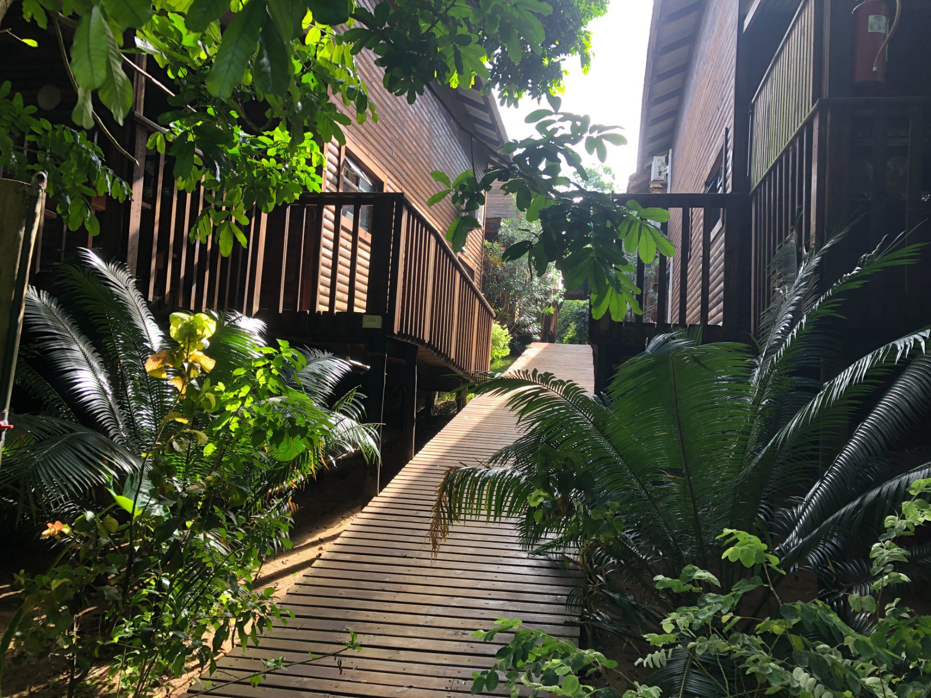 Beach resort for sale in Ponta de Ouro, Mozambique - 3MQ1610656