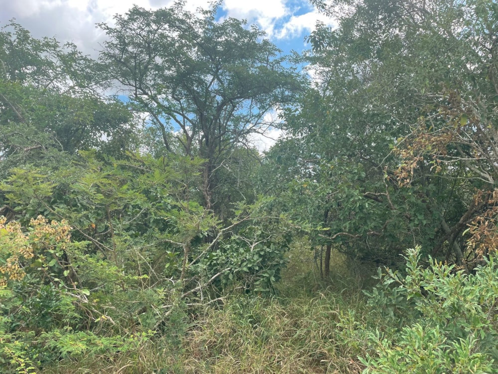 Vacant land sold in Moria - 1HS1639370 Vacant land sold in Moria - 1HS1639370