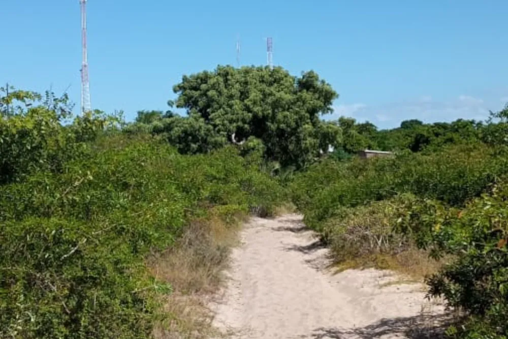 Vacant land for investment in Vilanculos, Mozambique - 3MQ1610819