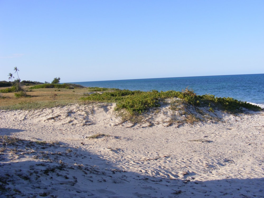 Vacant land for investment in Pemba, Cabo Delgado, Mozambique - 3MQ1610917