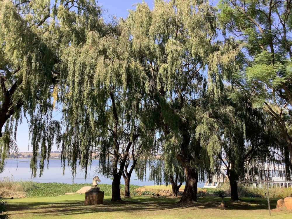 Residential vacant land for sale in Kungwini Country Estate - PRN1611311