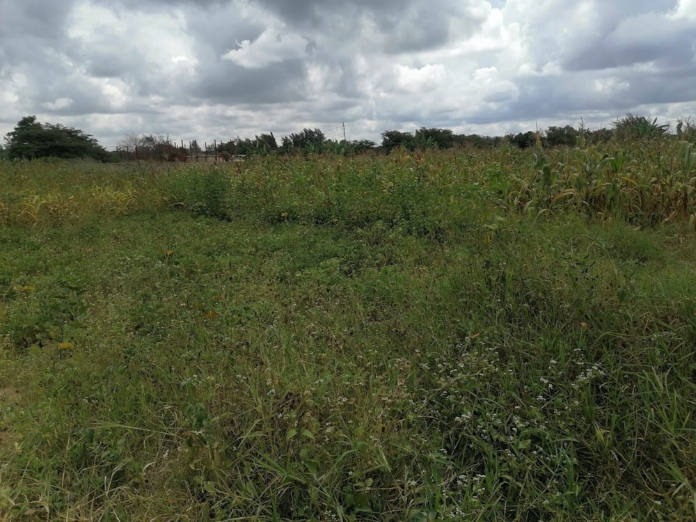 Vacant land for sale in Ibex Hill, Zambia - 3ZA1611022