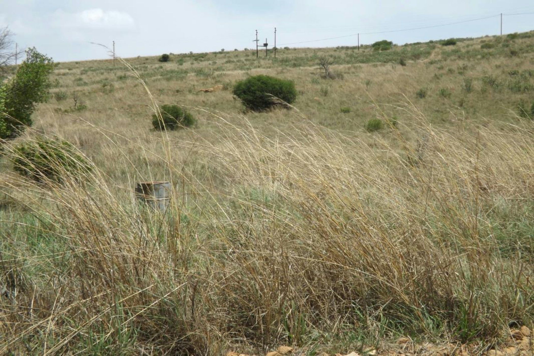 Commercial vacant land for sale in Naaupoort - 1WD1611080