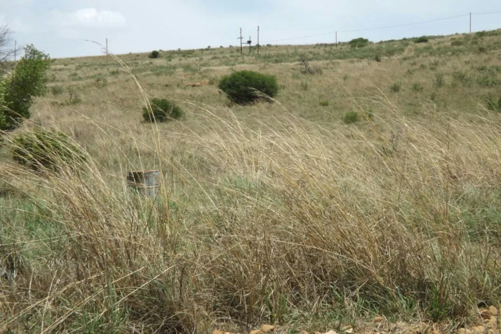 Commercial vacant land for sale in Naaupoort - 1WD1611080 Commercial vacant land for sale in Naaupoort - 1WD1611080