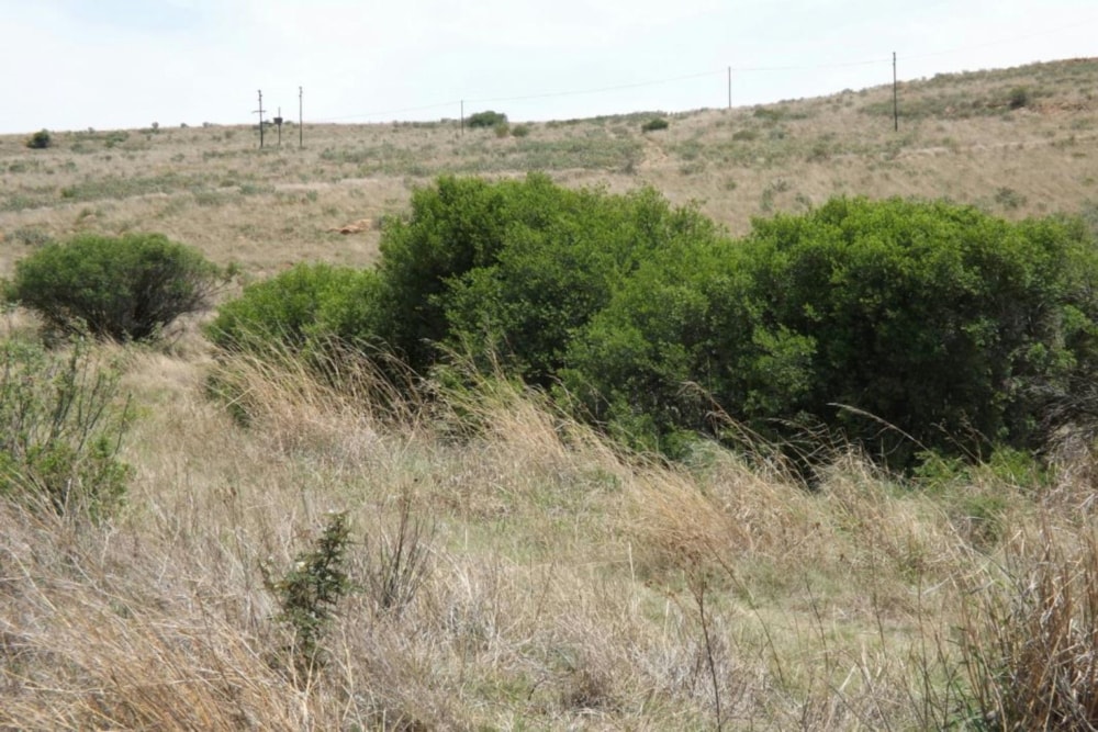 Commercial vacant land for sale in Naaupoort - 1WD1611080 Commercial vacant land for sale in Naaupoort - 1WD1611080