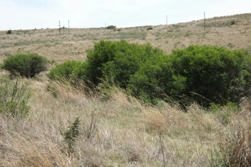 Commercial vacant land for sale in Naaupoort - 1WD1611080 Commercial vacant land for sale in Naaupoort - 1WD1611080