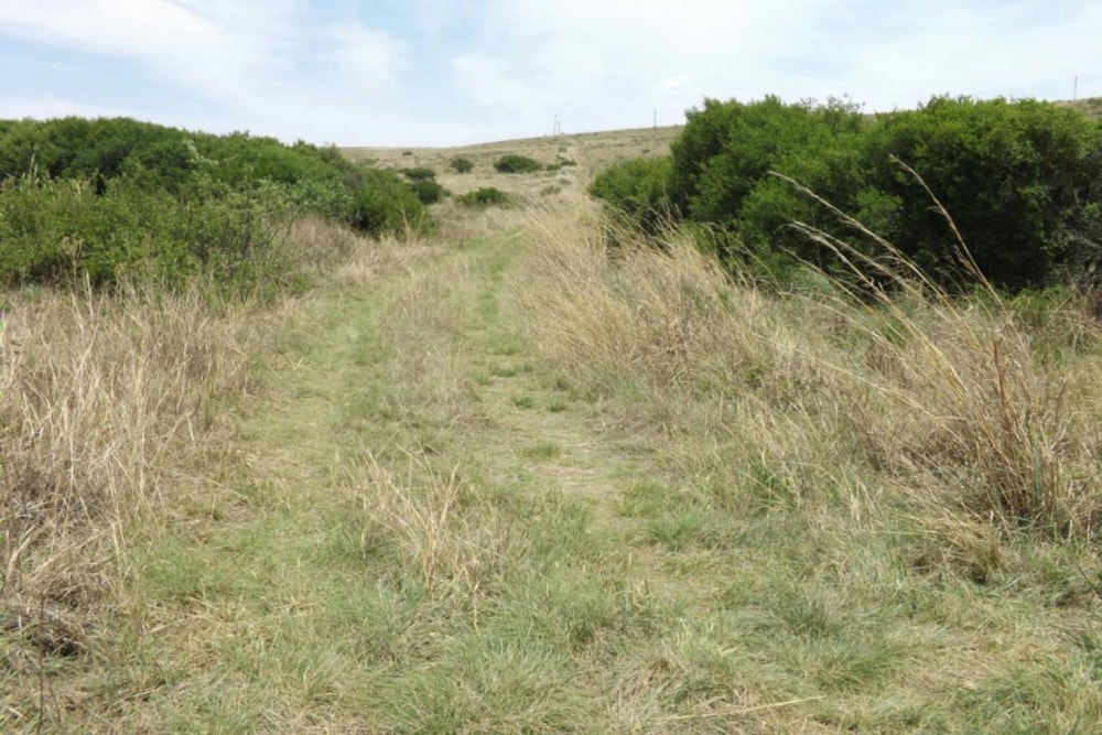 Commercial vacant land for sale in Naaupoort - 1WD1611080 Commercial vacant land for sale in Naaupoort - 1WD1611080