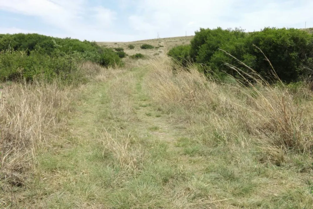 Commercial vacant land for sale in Naaupoort - 1WD1611080 Commercial vacant land for sale in Naaupoort - 1WD1611080