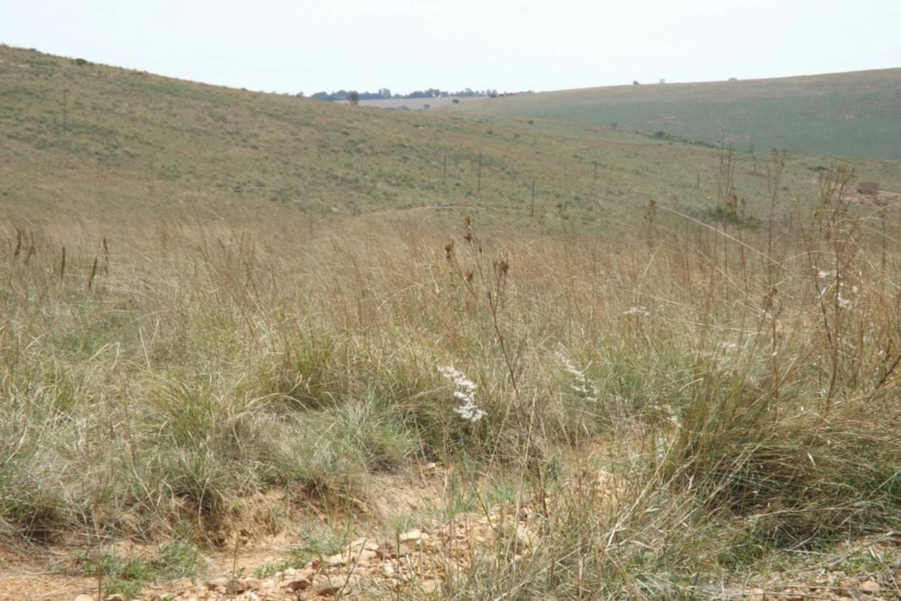 Commercial vacant land for sale in Naaupoort - 1WD1611080 Commercial vacant land for sale in Naaupoort - 1WD1611080