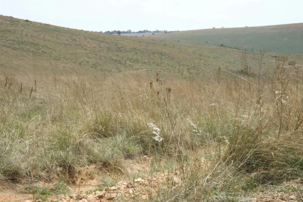 Commercial vacant land for sale in Naaupoort - 1WD1611080 Commercial vacant land for sale in Naaupoort - 1WD1611080