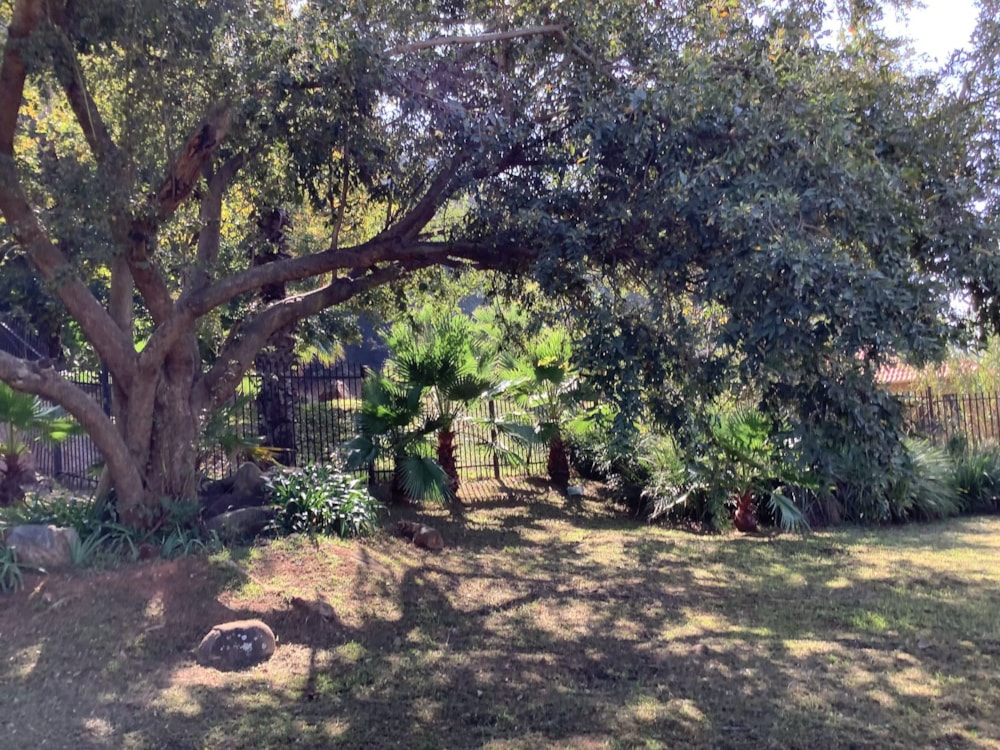 Vacant land for sale in Bronkhorstbaai - PRN1611323