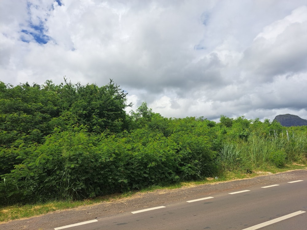 Commercial vacant land for sale in Bambous, Mauritius - MUR1611749