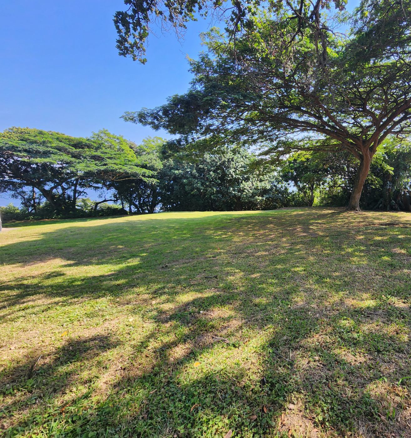 Vacant land for sale in Meer en See - 1RY1611980