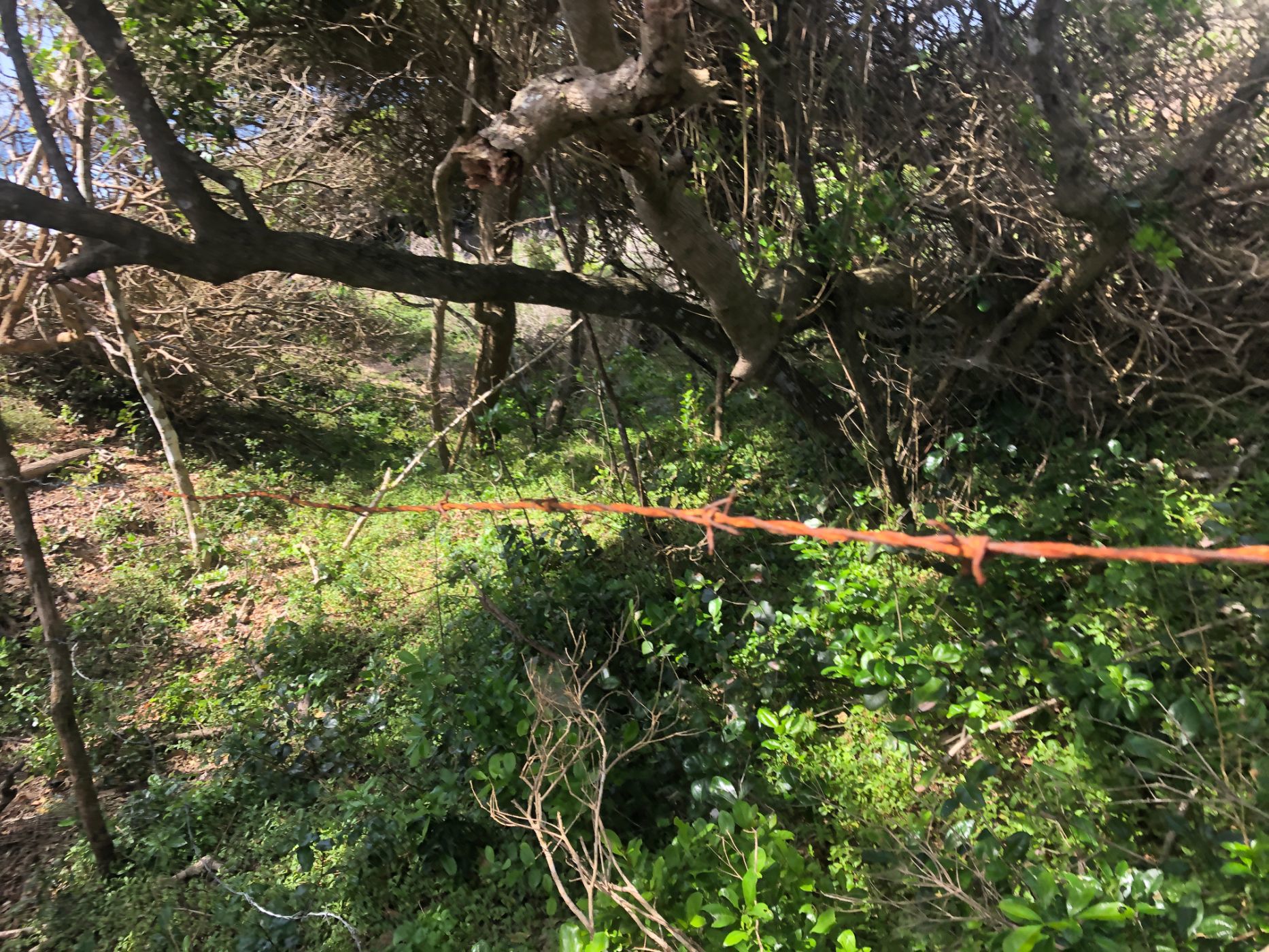 Vacant land for investment in Ponta Mamoli, Mozambique - 3MQ1612079