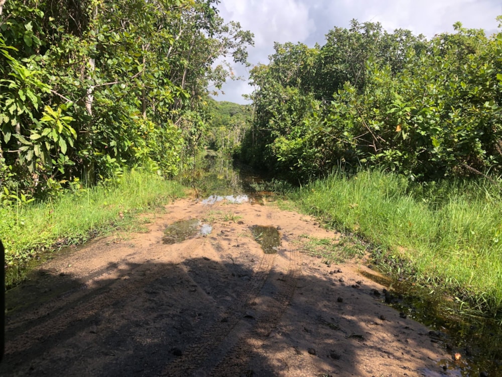 Vacant land for investment in Ponta Mamoli, Mozambique - 3MQ1612079