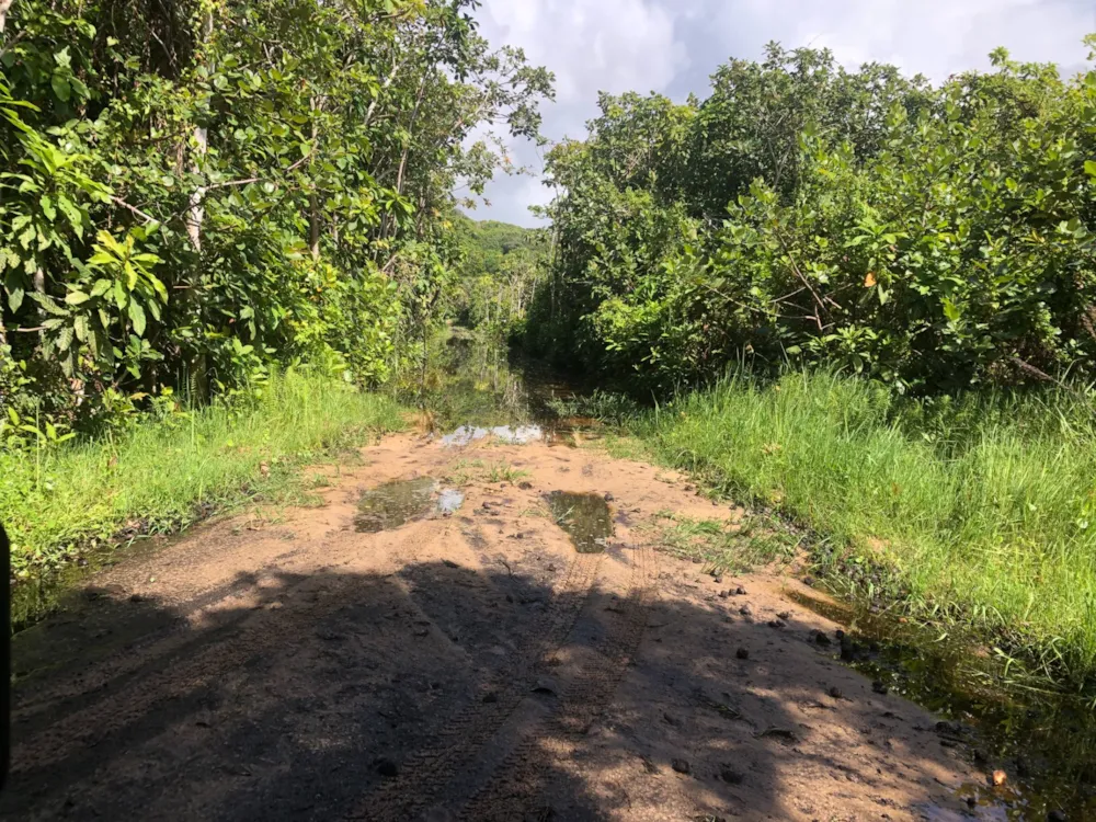 Vacant land for investment in Ponta Mamoli, Mozambique - 3MQ1612079 Vacant land for investment in Ponta Mamoli, Mozambique - 3MQ1612079