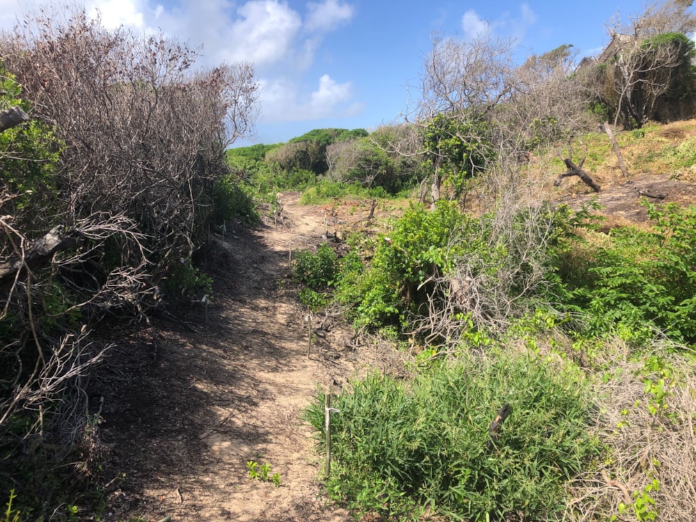 Vacant land for investment in Ponta Mamoli, Mozambique - 3MQ1612079