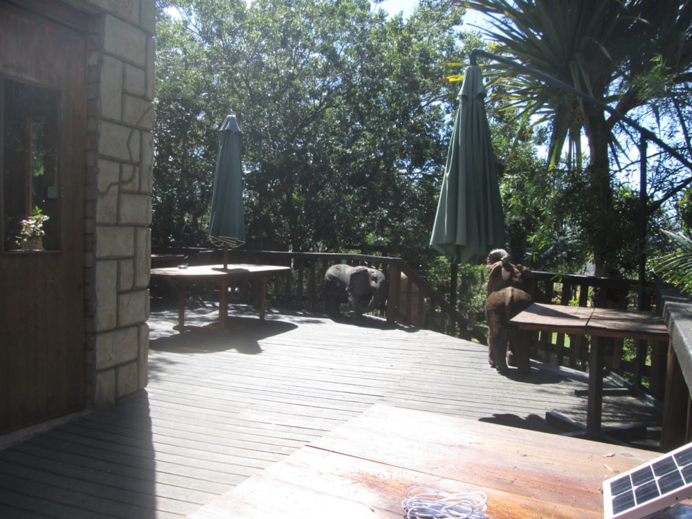 Smallholding for sale in Polokwane - 1PS1612206