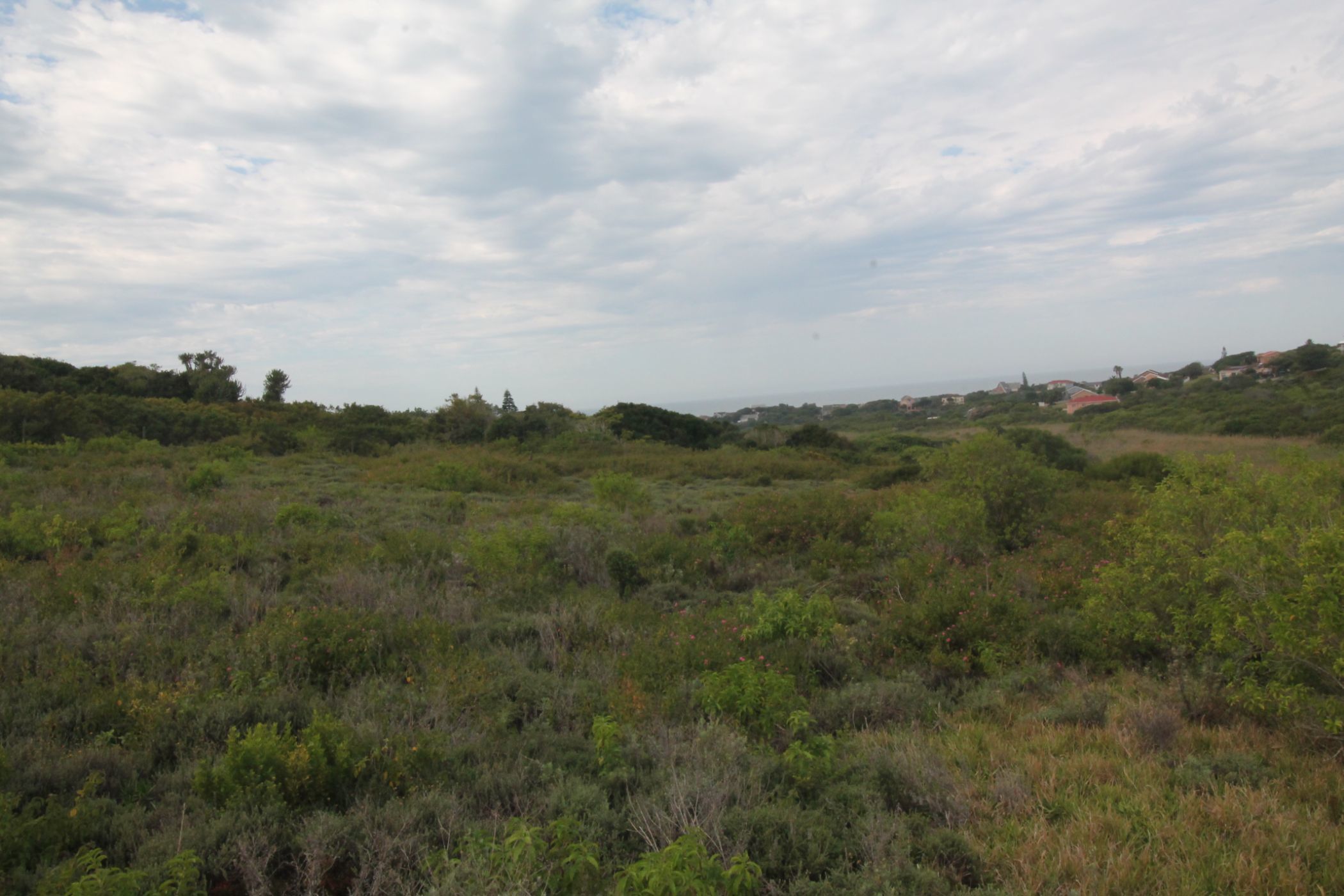 Residential vacant land for sale in Forest Downs - 1PF1611724