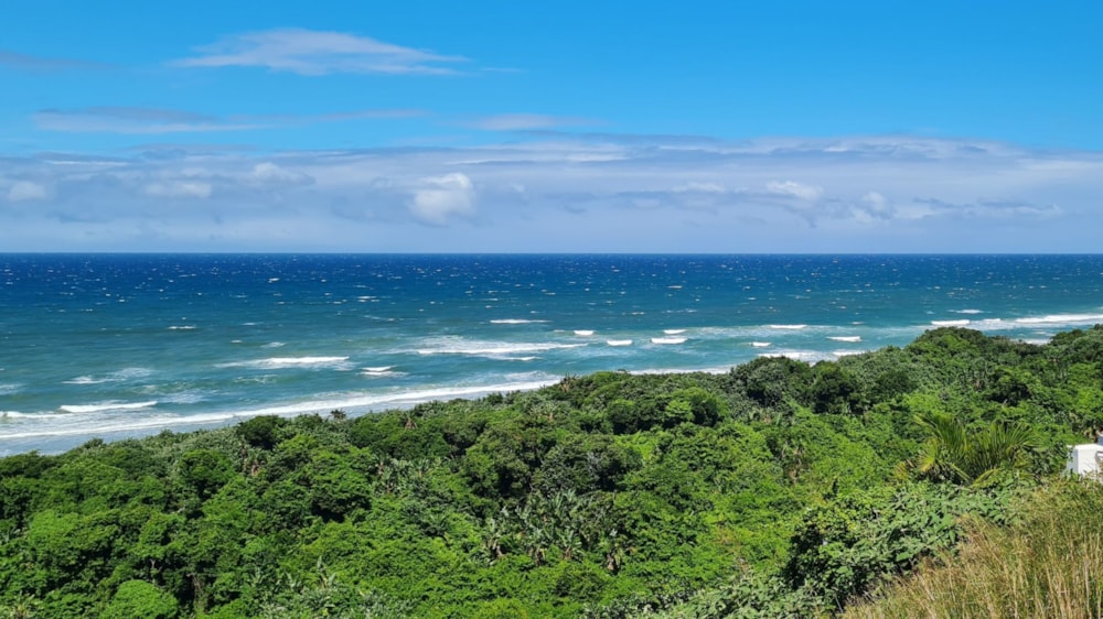 Beachfront villa for sale in Trafalgar - 1PD1610171 Beachfront villa for sale in Trafalgar - 1PD1610171