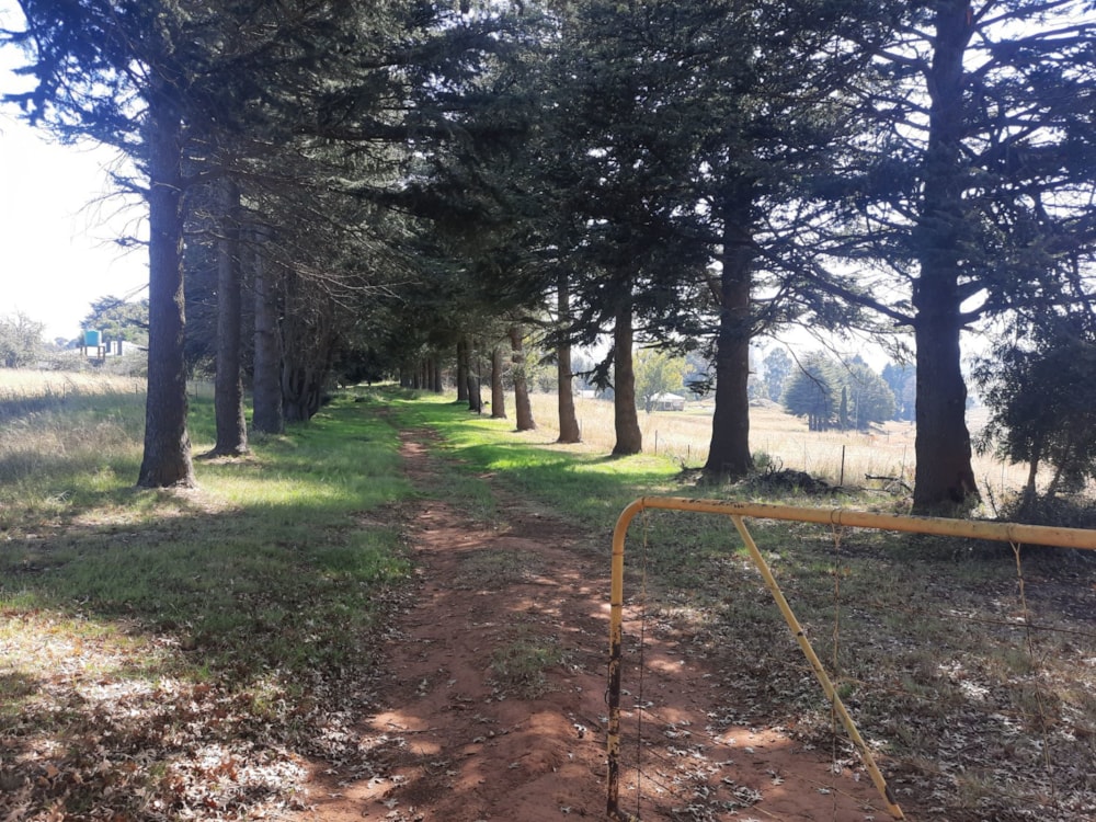 Mixed use farm sold in Dullstroom - 1DS1612569 Mixed use farm sold in Dullstroom - 1DS1612569