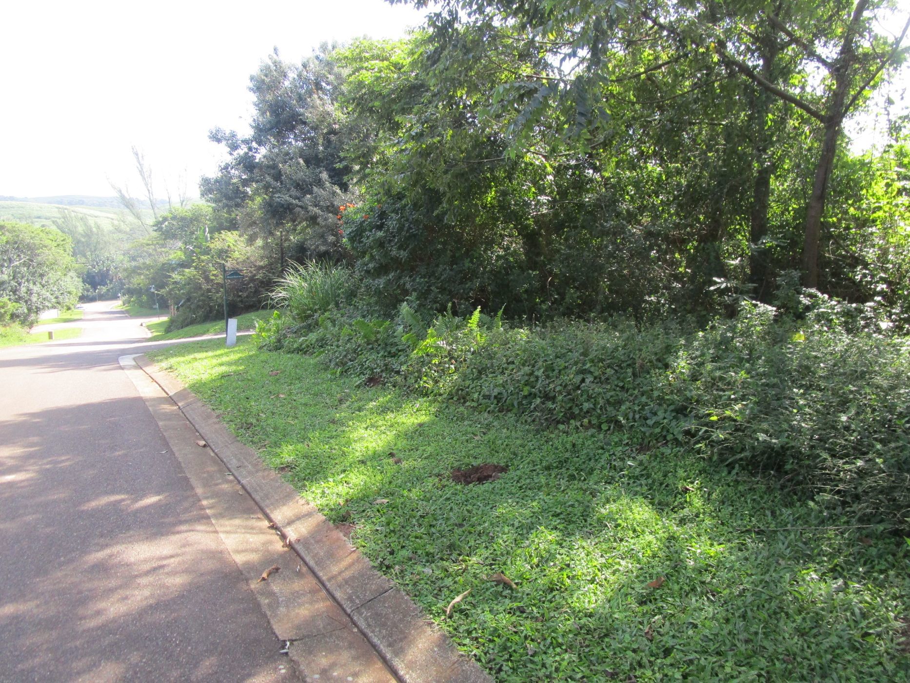 Residential vacant land for sale in Kelso - 1SI1465826