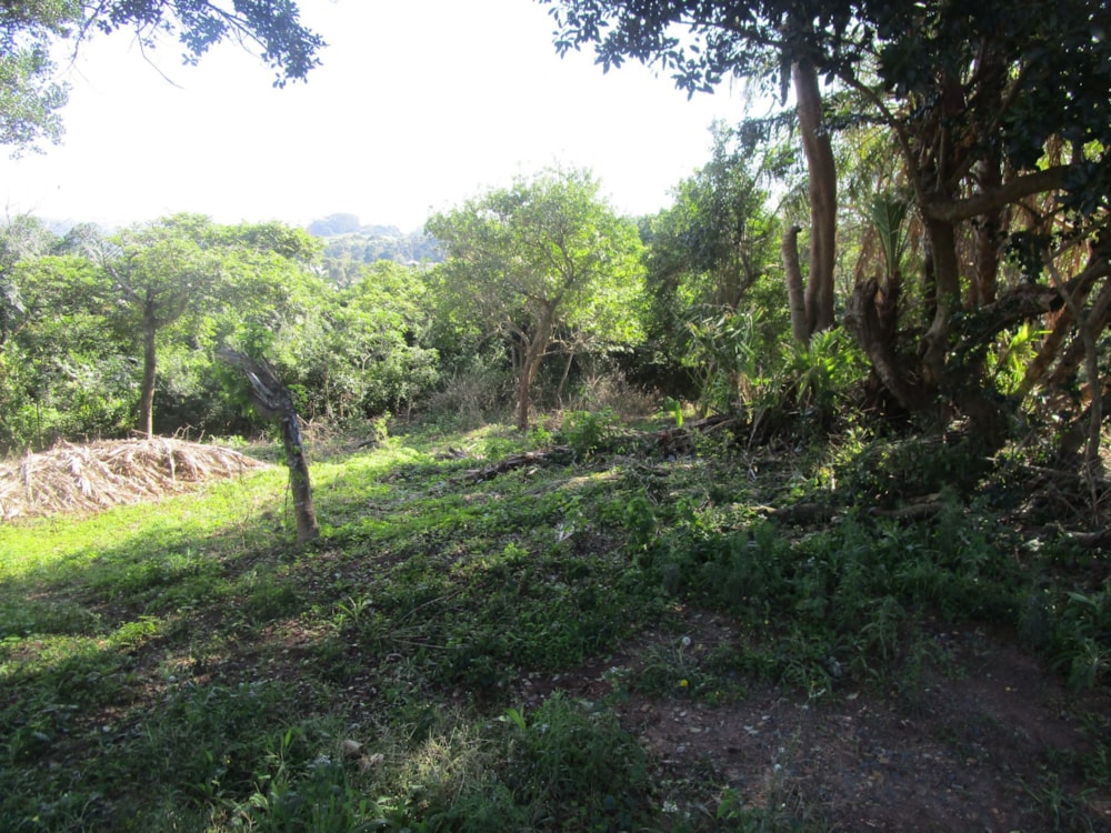 Vacant land for sale in Pennington - 1SI1530637