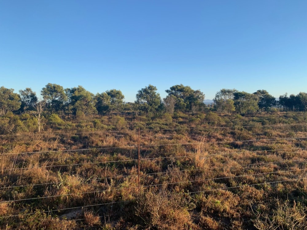 Smallholding for sale in Uitenhage Rural (Kariega Rural)  - 1PLZ1668721