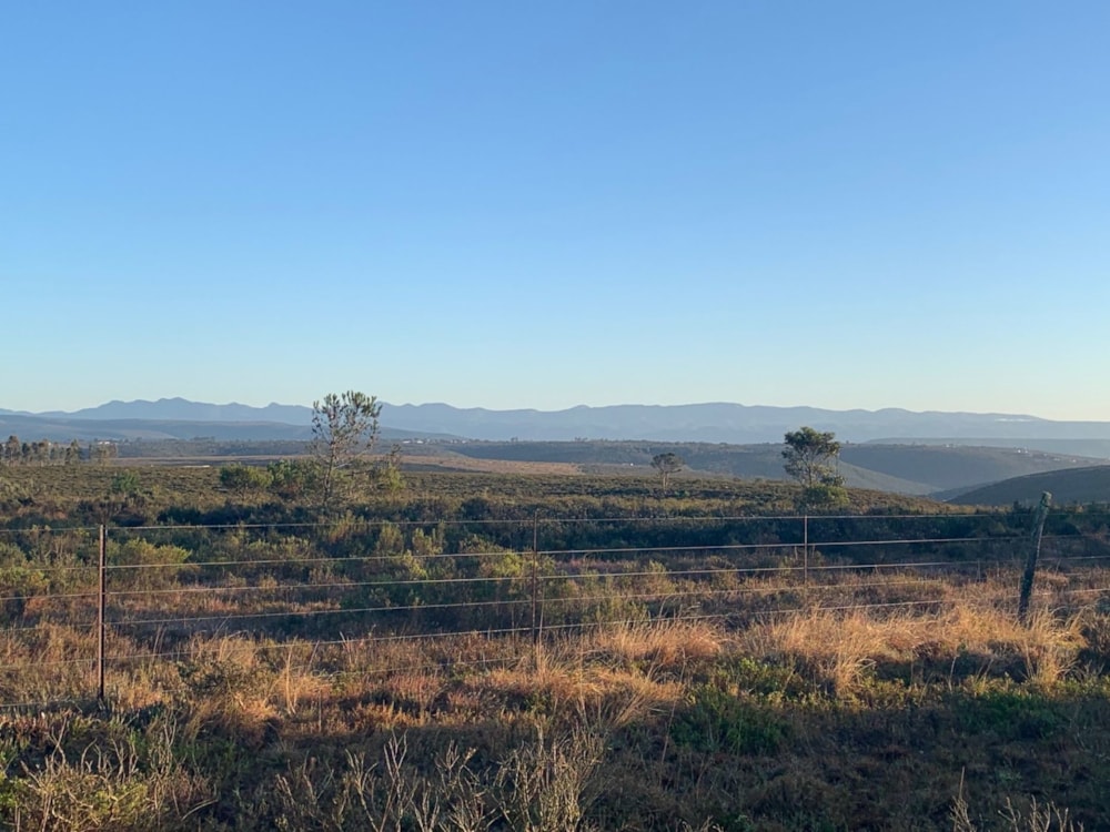 Smallholding for sale in Uitenhage Rural (Kariega Rural)  - 1PLZ1668721