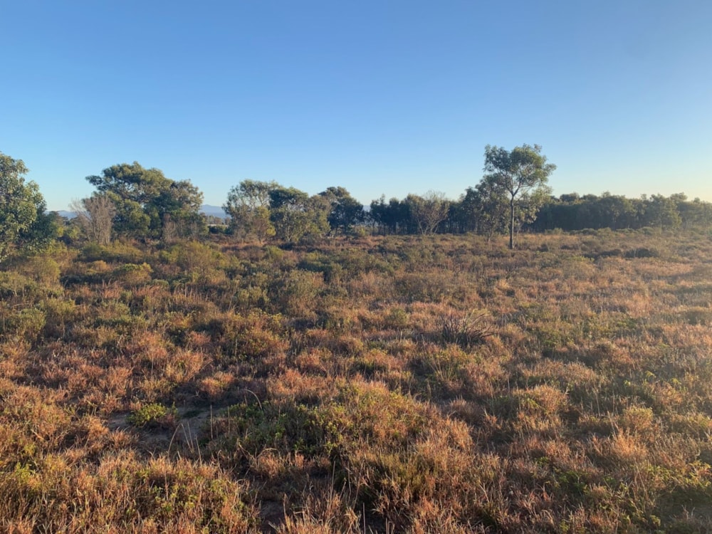 Smallholding for sale in Uitenhage Rural (Kariega Rural)  - 1PLZ1668721