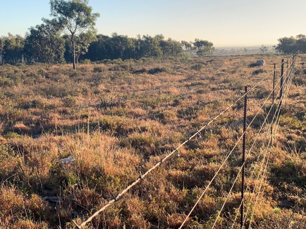 Smallholding for sale in Uitenhage Rural (Kariega Rural)  - 1PLZ1668721