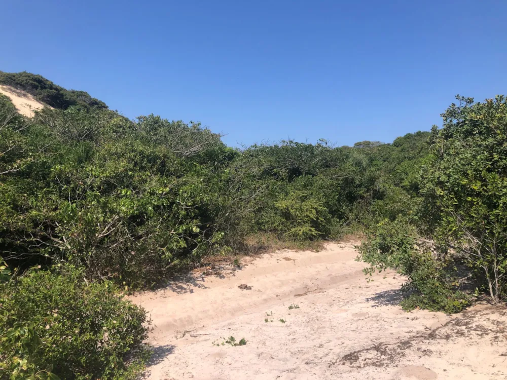 Vacant land for investment in Praia de Macaneta, Mozambique - 3MQ1601175