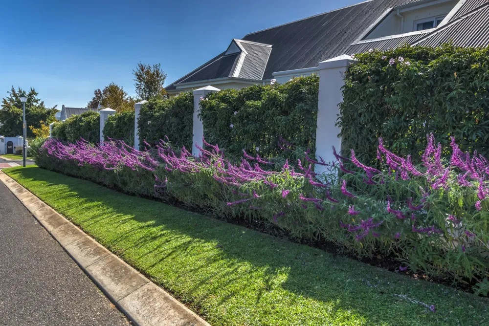 Residential vacant land for sale in Paradyskloof - ST1610745 Residential vacant land for sale in Paradyskloof - ST1610745
