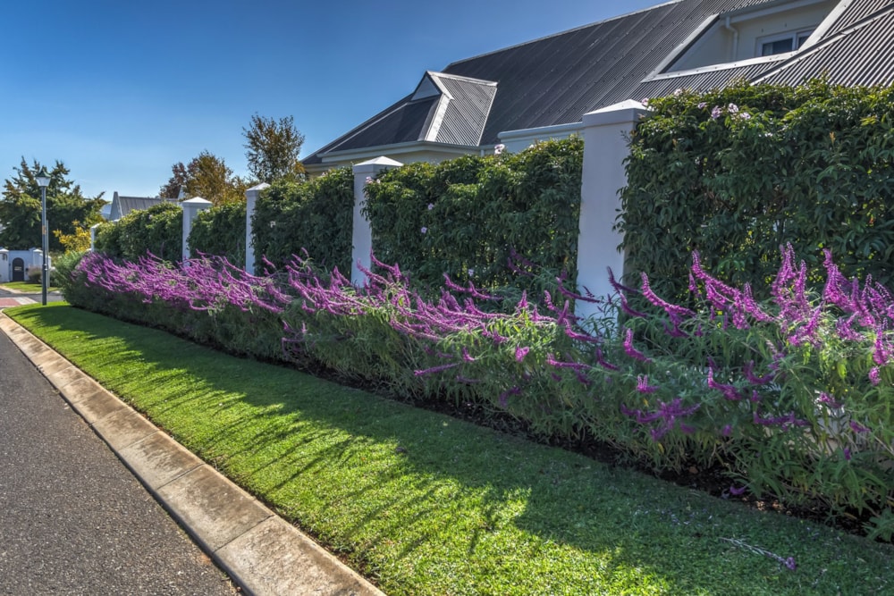 Residential vacant land for sale in Paradyskloof - ST1610745 Residential vacant land for sale in Paradyskloof - ST1610745