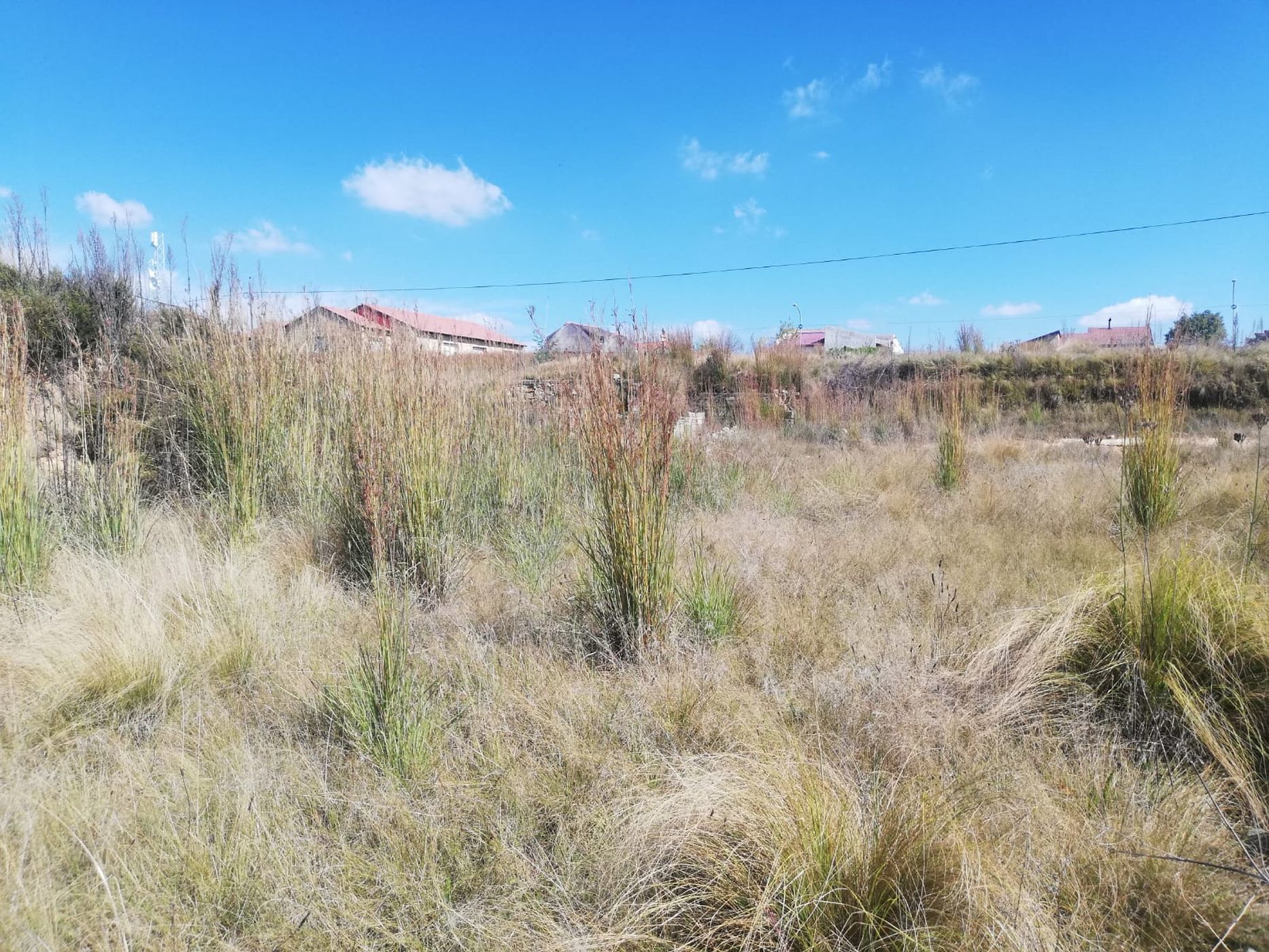 Residential vacant land for sale in Morelig - 1BTH1612817