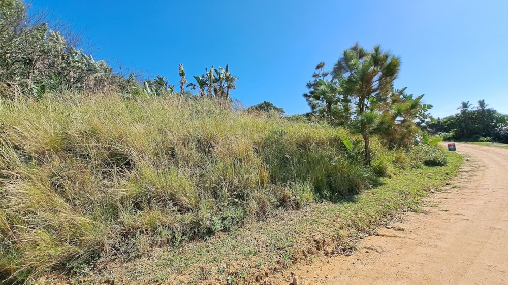 Vacant land for sale in Hibberdene - 1PX1612755