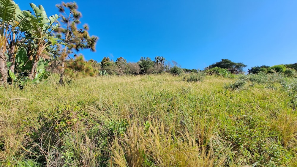 Vacant land for sale in Hibberdene - 1PX1612755