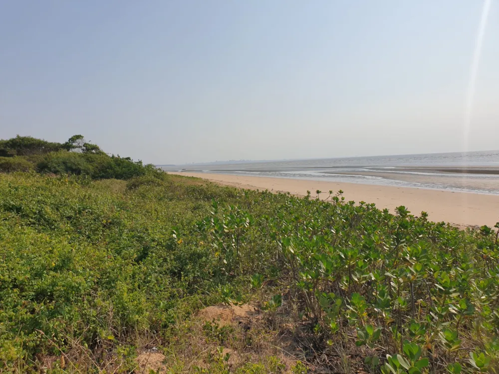 Vacant land for investment in Catembe, Mozambique - 3MQ1612890 Vacant land for investment in Catembe, Mozambique - 3MQ1612890
